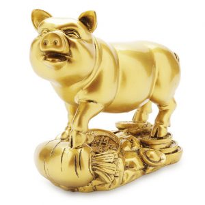 tuổi Hợi