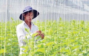 Phấn đấu đến 2025 thu nhập bình quân của nông thôn tăng ít nhất 1,5 lần